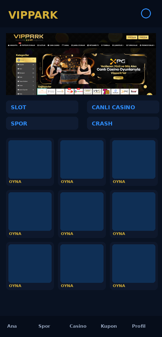 Vippark uygulama ekranı